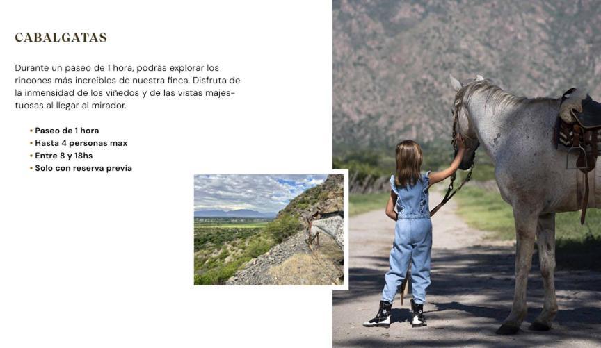 קאפאייט Finca El Recreo מראה חיצוני תמונה